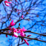 Αίθριος Καιρός με Τοπικές Νεφώσεις και Ήπιες Θερμοκρασίες