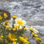 Με βροχές και τοπικές καταιγίδες η Τρίτη – Πού θα είναι πιο έντονα τα φαινόμενα